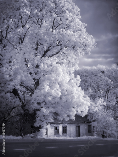 house at a road is in an infra-red color