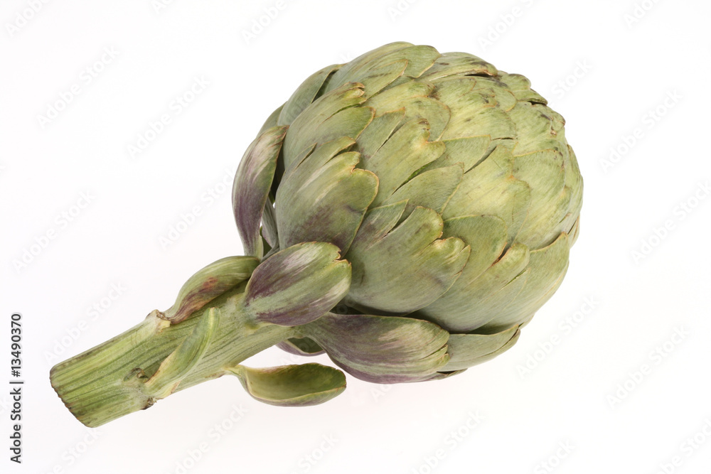 Obraz premium artichoke on white