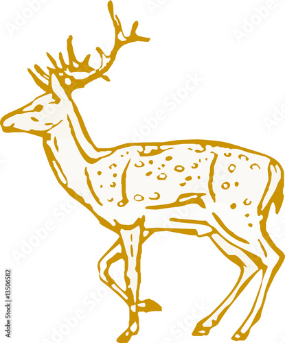 deer 2