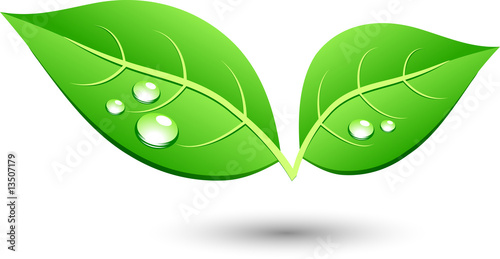 Green leaf icon. Vector illustration.