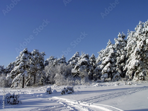 House of the forester photo