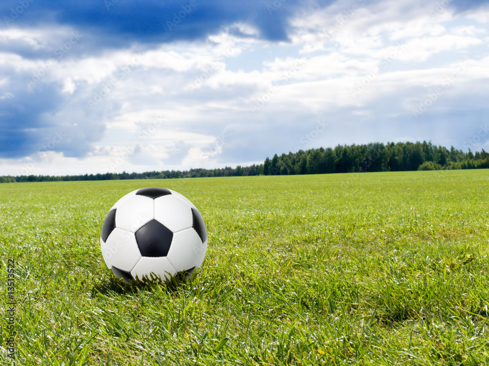Fototapeta premium soccer ball