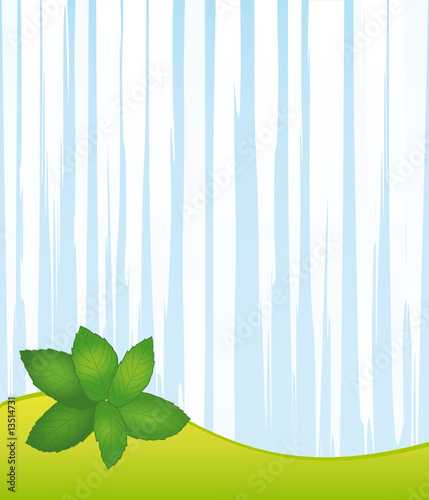 Fresh mint background