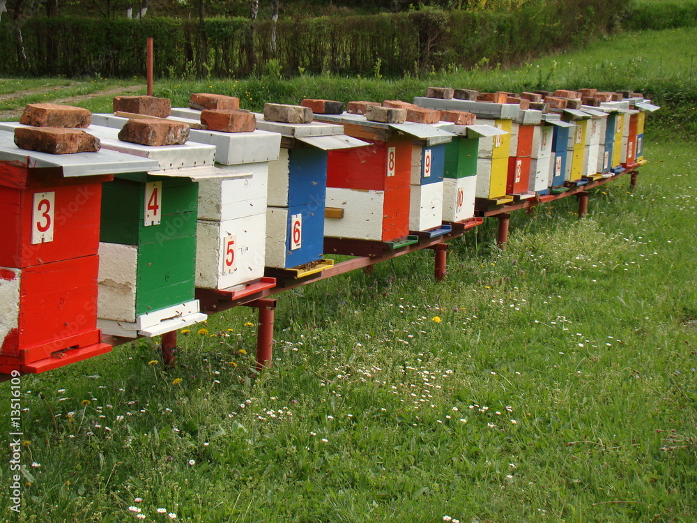 Numeration hive Numeration hive
