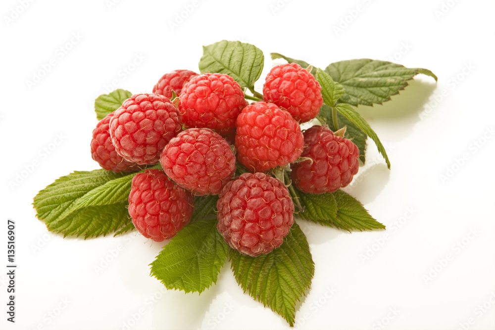 grass berries grass berries