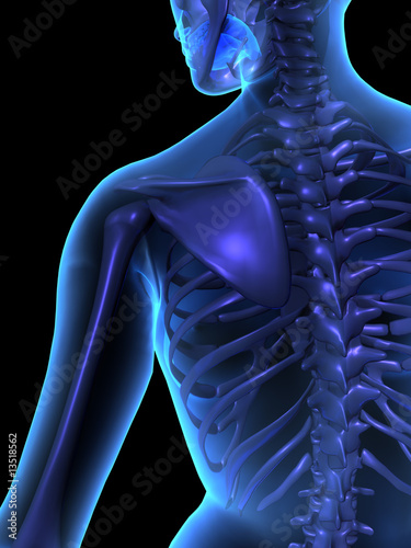 X-ray illustration of female human body and skeleton