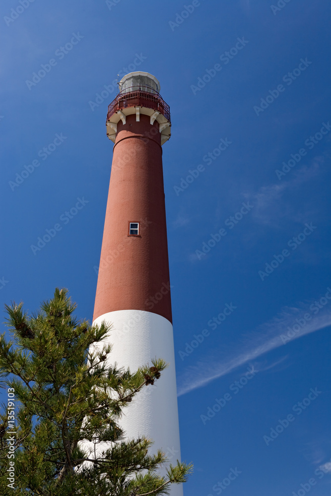 Barnegat Lighthouse with Foreground Tree