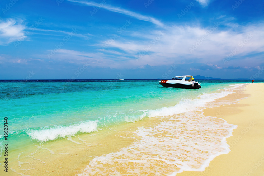 Fototapeta premium Tropical beach