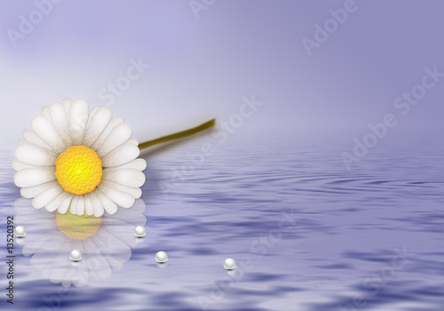 Flower On water