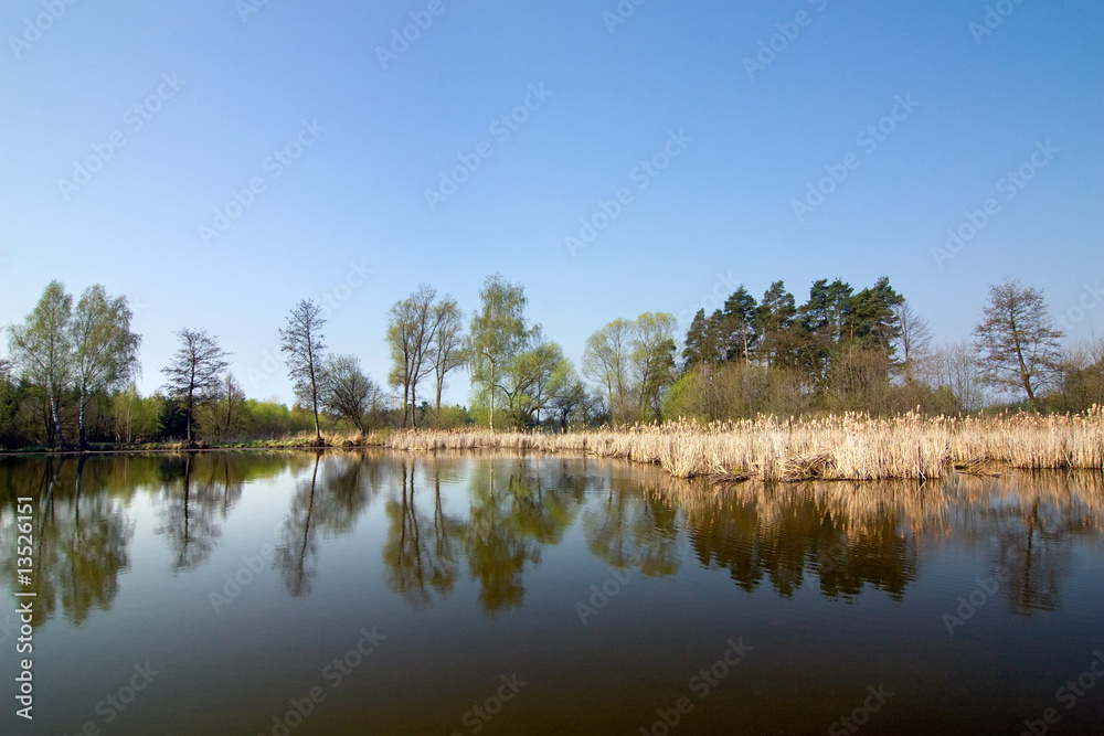 Pond in the spring countryside
