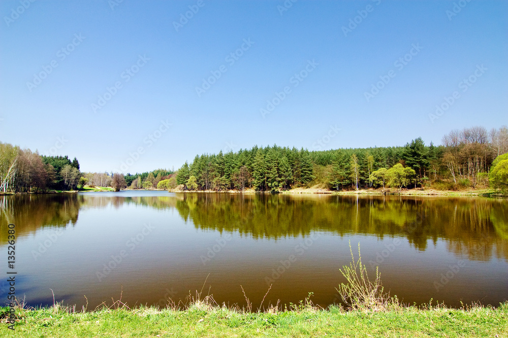 Pond in the spring countryside