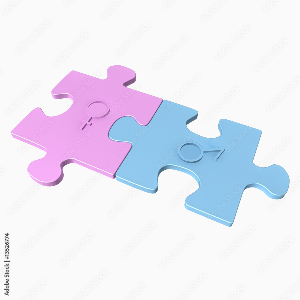 Puzzleteile mit männlich und weilblich Zeichen Puzzleteile mit männlich und weilblich Zeichen