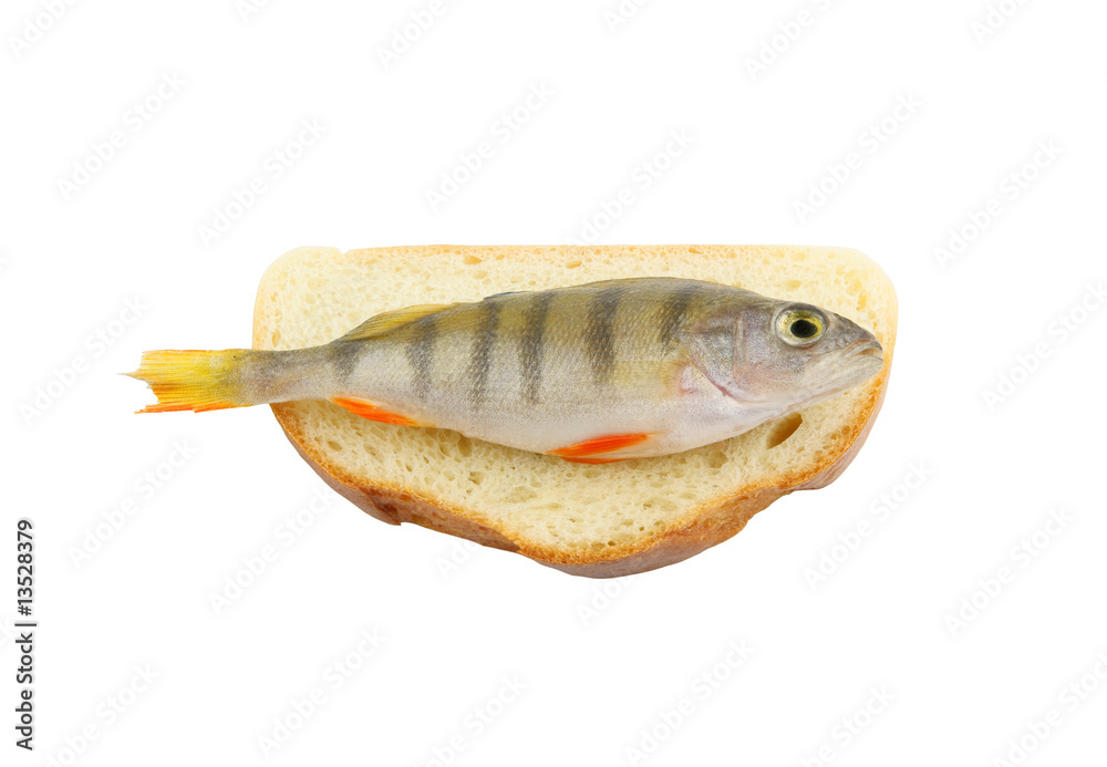 Crisis food, small raw perch on bread isolated