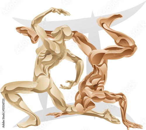 Gemini the twins star sign