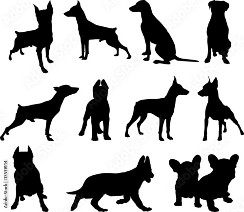 vector set of dogs silhouette