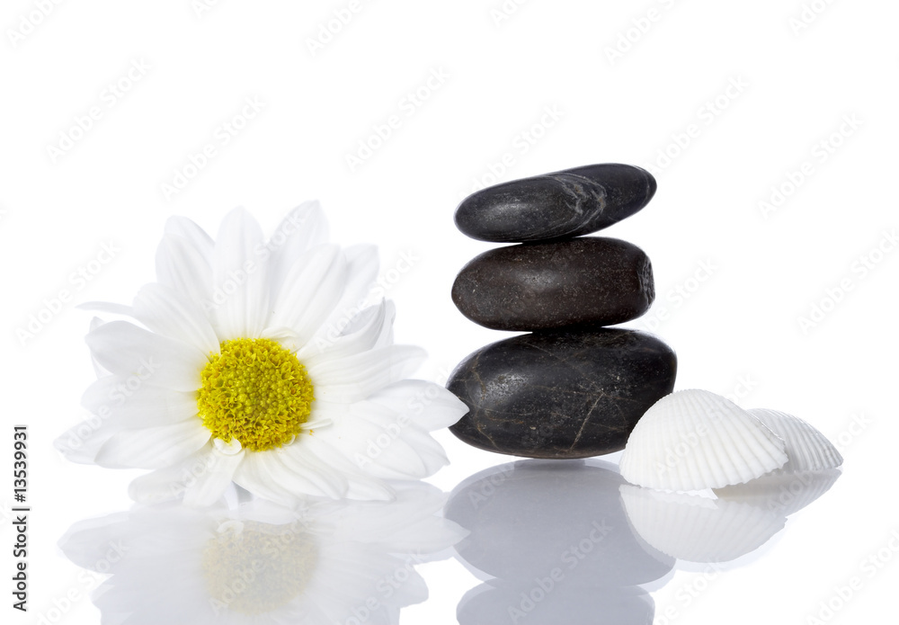 spa white spa white