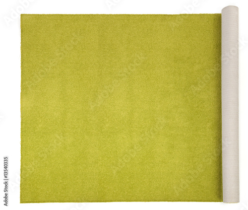 olive carpet on white