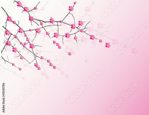 Vector illustration of a cherry twigs in bloom © BooblGum
