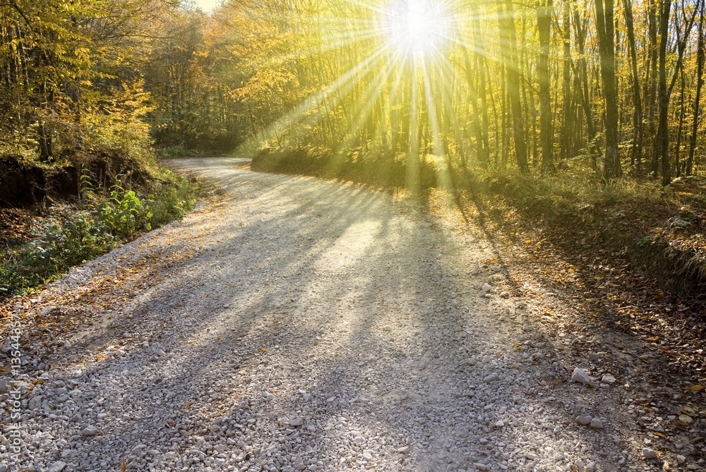 Obraz premium autumn road