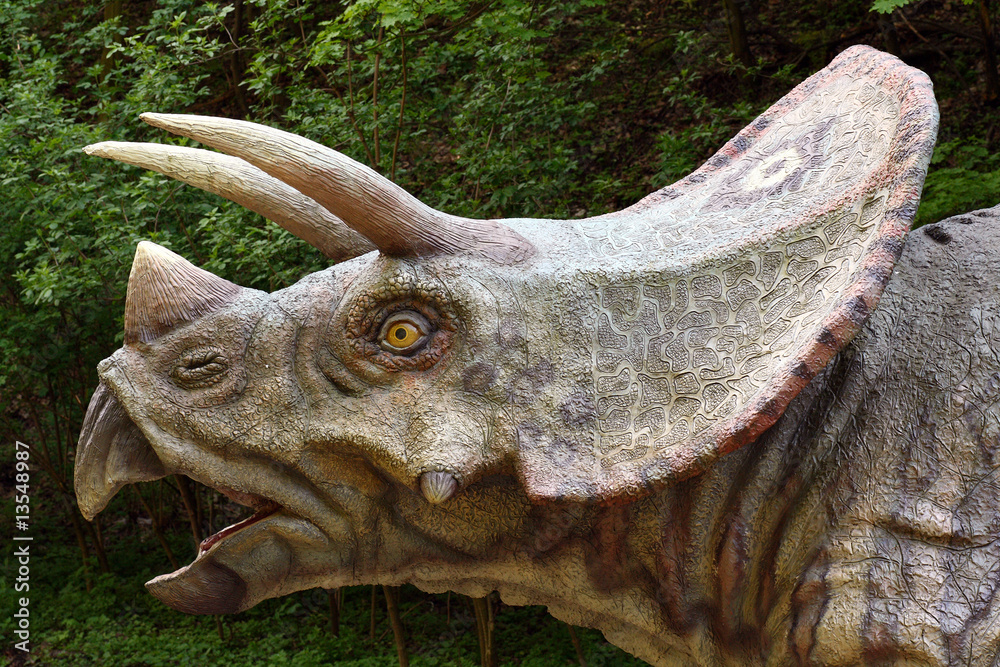 Obraz premium Dokładnie dinozaur model Triceratops
