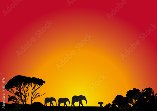 Sonnenuntergang in Afrika © E. Zacherl