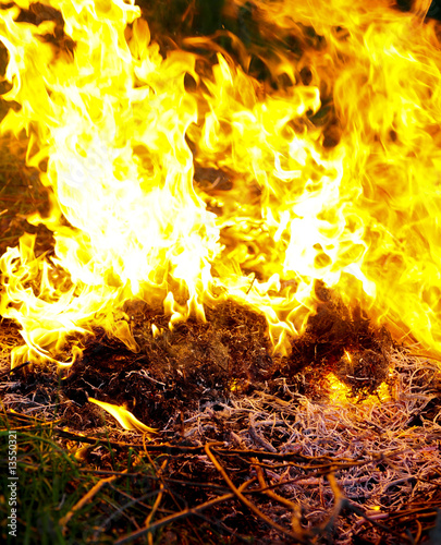 Fire flames
