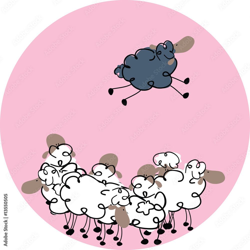 Obraz premium black sheep