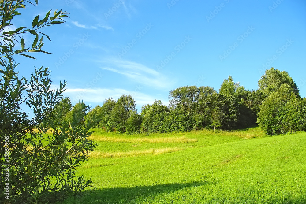 Fototapeta premium Green grassland and blue sky