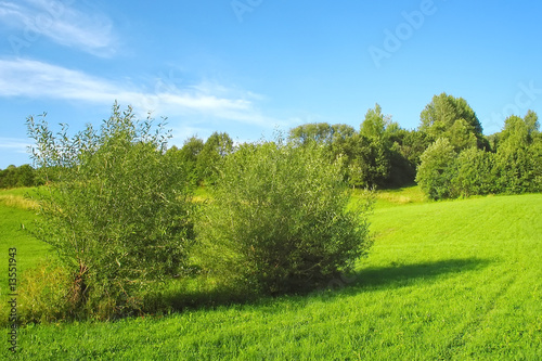 Green grassland and blue sky