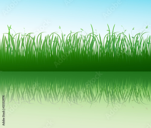 Green grass vector