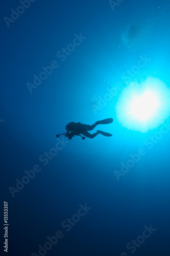 ocean, diver and sun