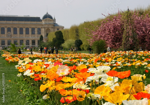 Photography jardin des plantes à paris