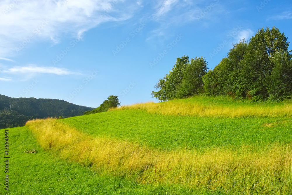 Green grassland