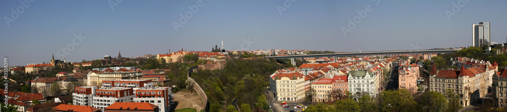 Fototapeta premium Prague from Vysehrad Hill
