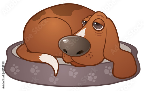 Sleepy Hound