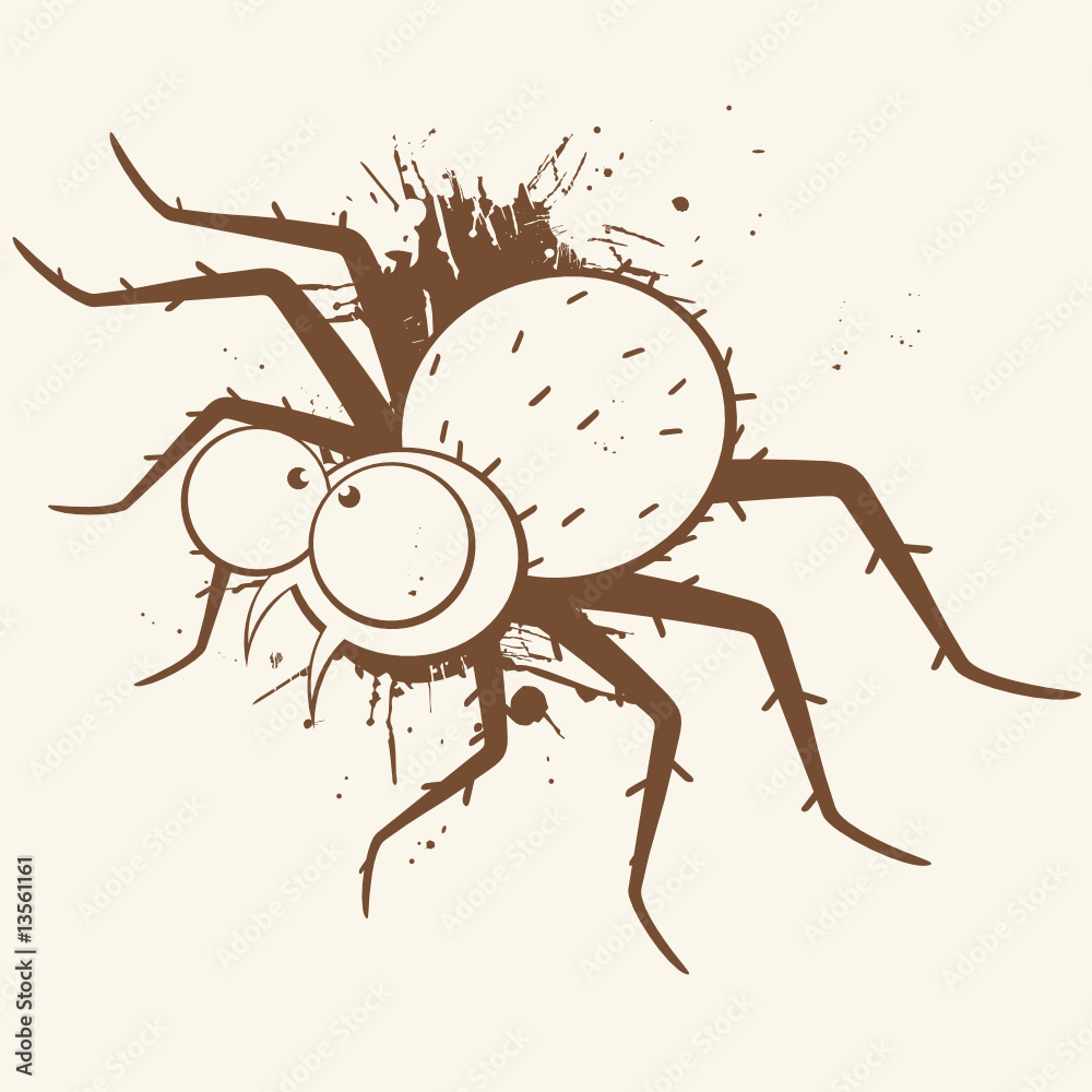 spinne insekt vintage