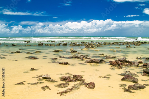 Natural pool   Brazil