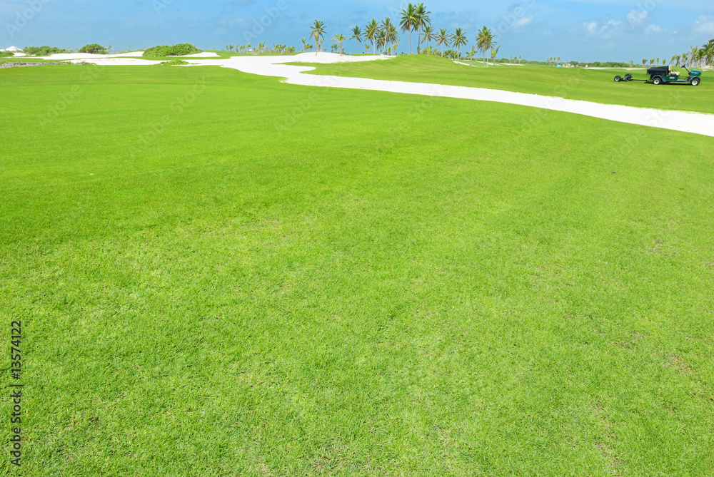 Obraz premium Golf field