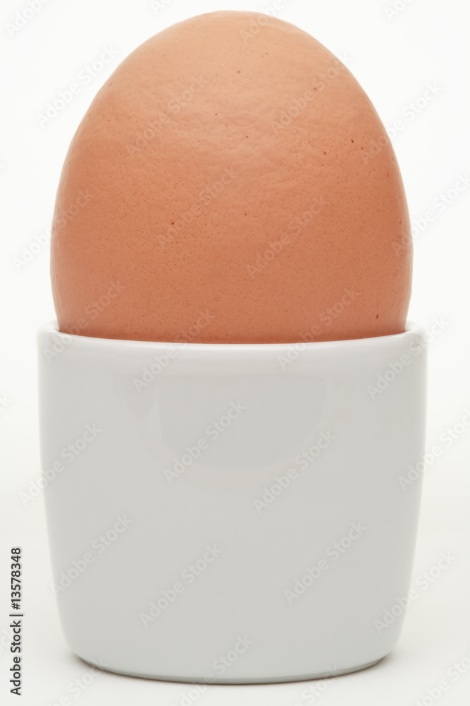 Brown egg in white cup Brown egg in white cup