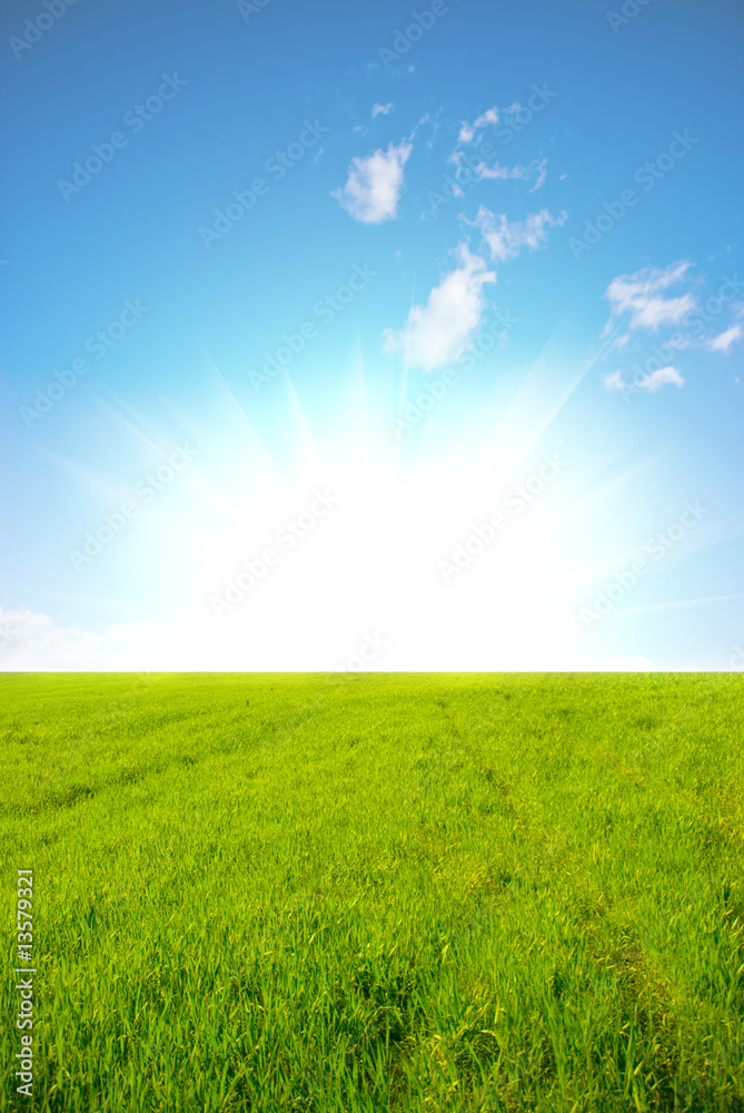Grassland and sunray