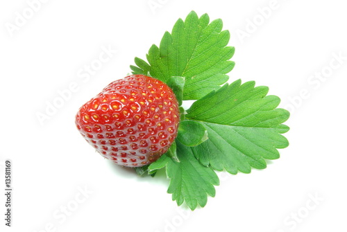 Fragola con foglie