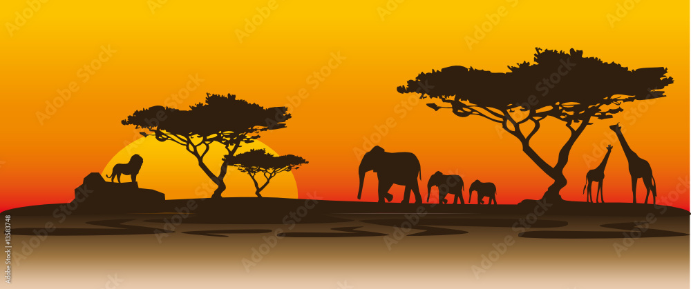 african sunset Stock Vector | Adobe Stock