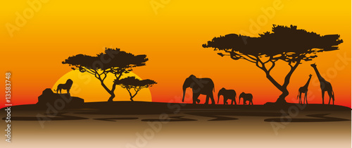african sunset #13583748