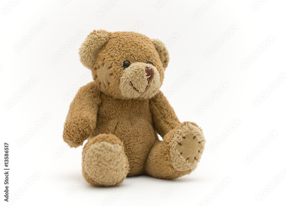 Obraz premium teddy bear