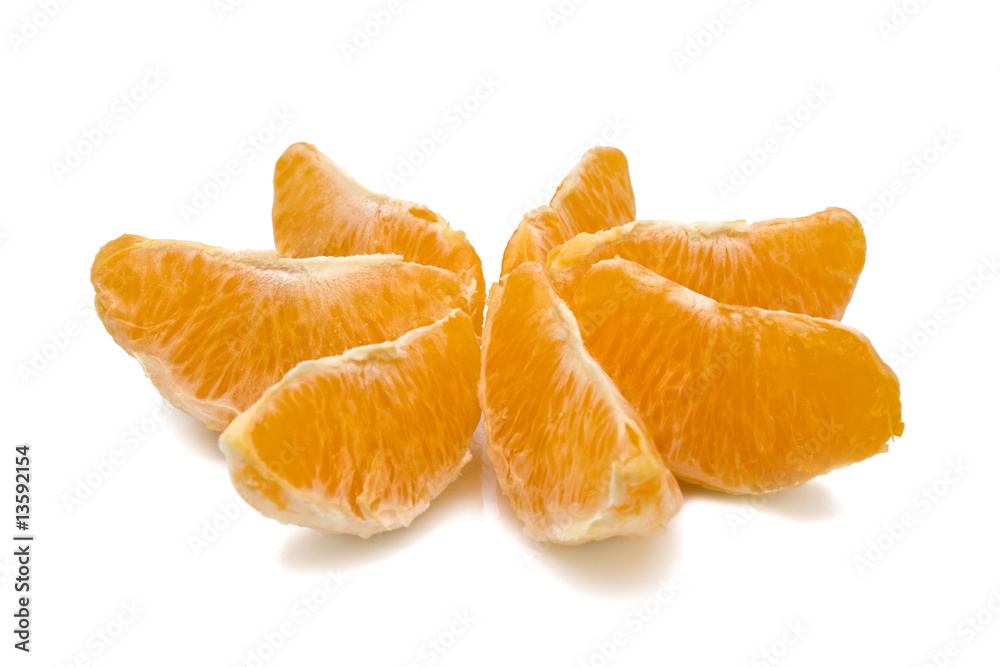 Orange in view flower on white background Orange in view flower on white background