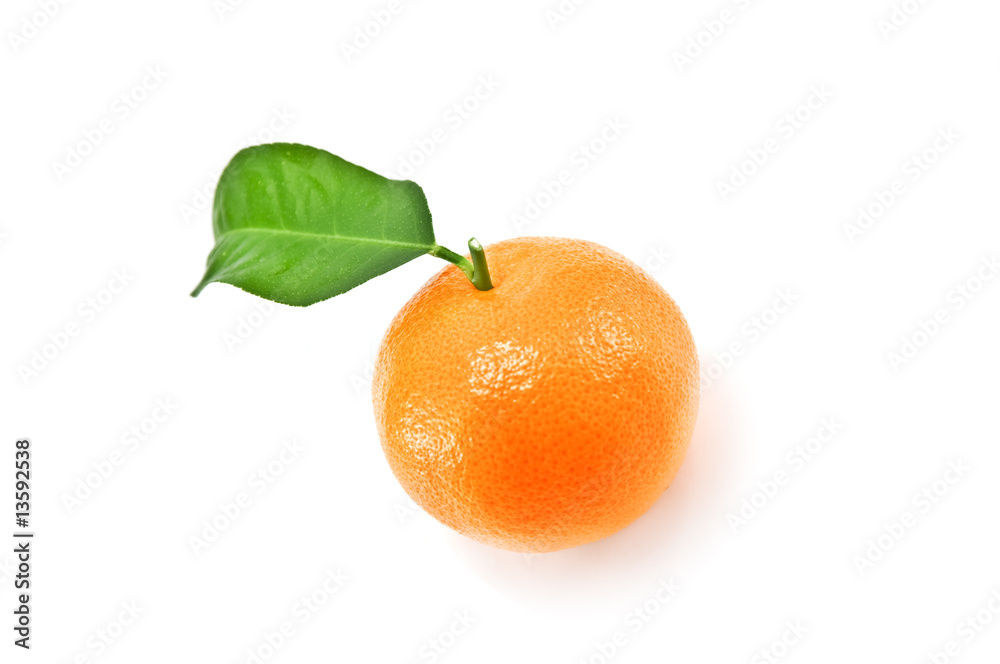mandarin mandarin