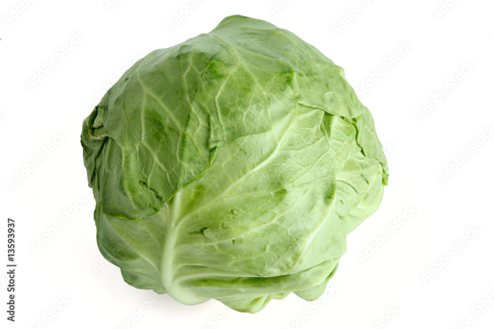 Cabbage isolated Cabbage isolated