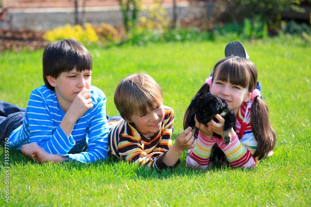 Fototapeta premium Children playing with dog