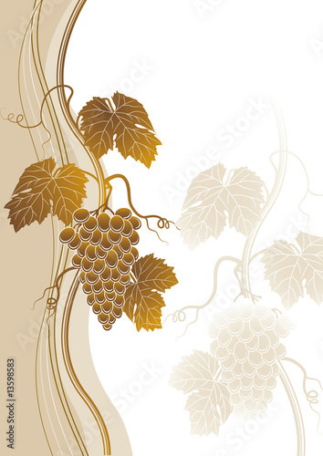 Wine background