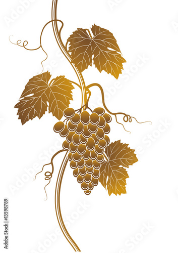 Grapes silhouette